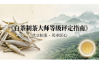春茶正當(dāng)時(shí)，標(biāo)準(zhǔn)定未來(lái)！搶占先機(jī)，白茶制