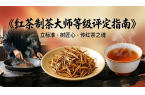 春日茶香，標(biāo)準(zhǔn)領(lǐng)航：搶占時(shí)代紅利，紅茶制